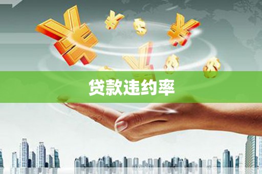 丰台贷款违约率