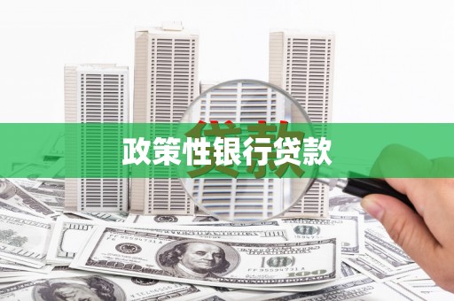 丰台政策性银行贷款