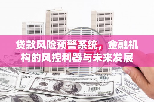 丰台贷款风险预警系统，金融机构的风控利器与未来发展