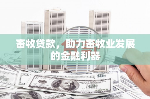 丰台畜牧贷款，助力畜牧业发展的金融利器