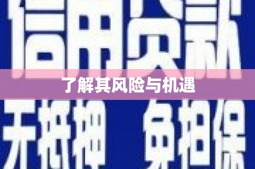 丰台了解其风险与机遇