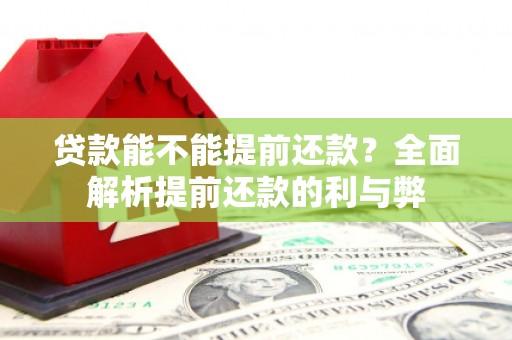 丰台贷款能不能提前还款？全面解析提前还款的利与弊