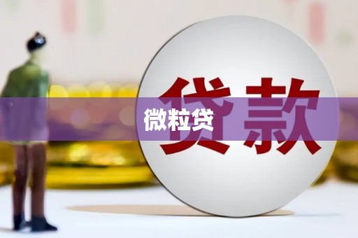 丰台微粒贷