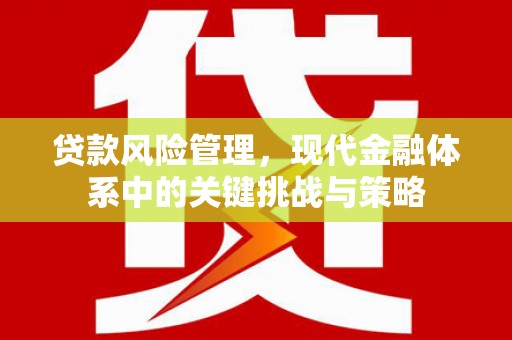 丰台贷款风险管理，现代金融体系中的关键挑战与策略