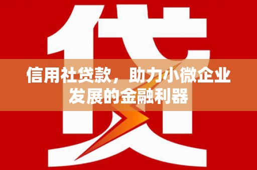 丰台信用社贷款，助力小微企业发展的金融利器
