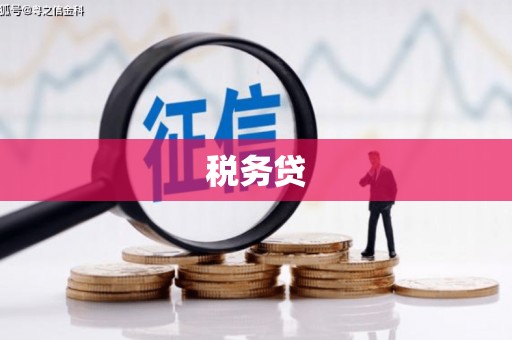 丰台税务贷