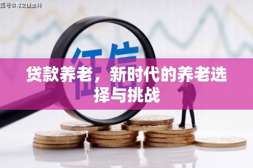 丰台贷款养老，新时代的养老选择与挑战