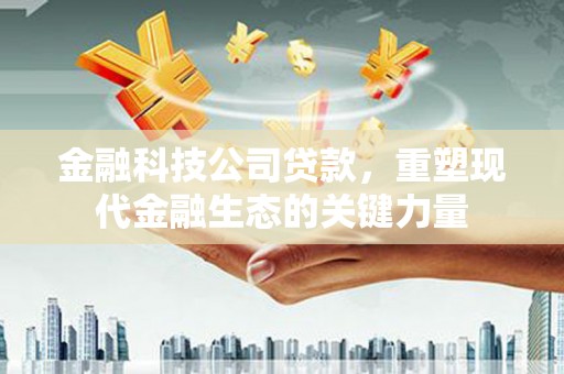 丰台金融科技公司贷款，重塑现代金融生态的关键力量