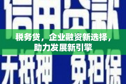 丰台税务贷，企业融资新选择，助力发展新引擎