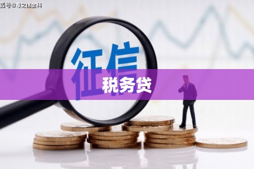 丰台税务贷