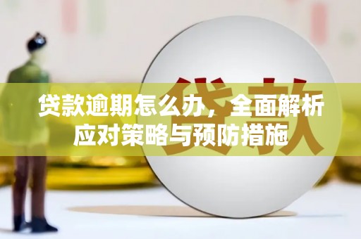 丰台贷款逾期怎么办，全面解析应对策略与预防措施