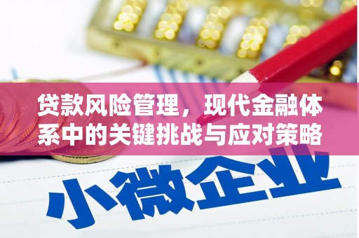 丰台贷款风险管理，现代金融体系中的关键挑战与应对策略