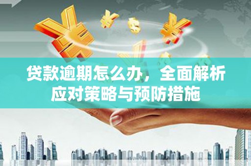 丰台贷款逾期怎么办，全面解析应对策略与预防措施