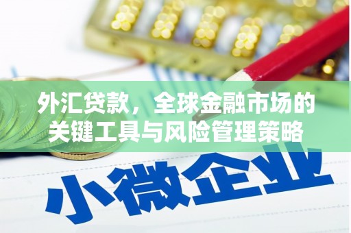 丰台外汇贷款，全球金融市场的关键工具与风险管理策略
