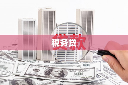 丰台税务贷