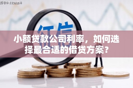 丰台小额贷款公司利率，如何选择最合适的借贷方案？