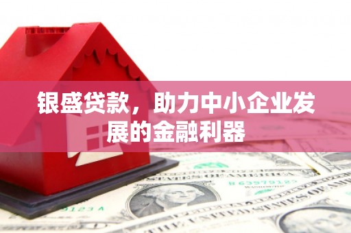 丰台银盛贷款，助力中小企业发展的金融利器