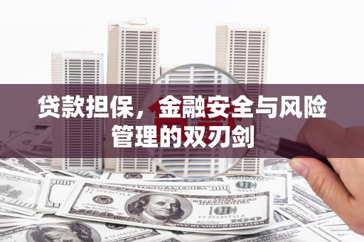 丰台贷款担保，金融安全与风险管理的双刃剑