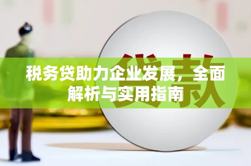 丰台税务贷助力企业发展，全面解析与实用指南