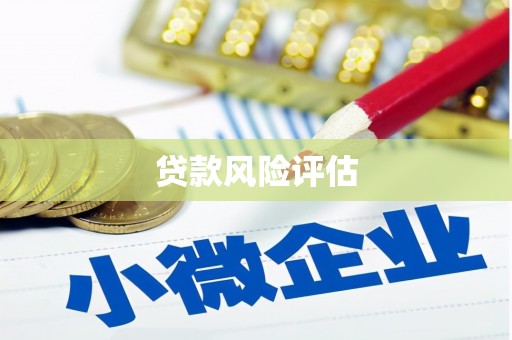 丰台贷款风险评估