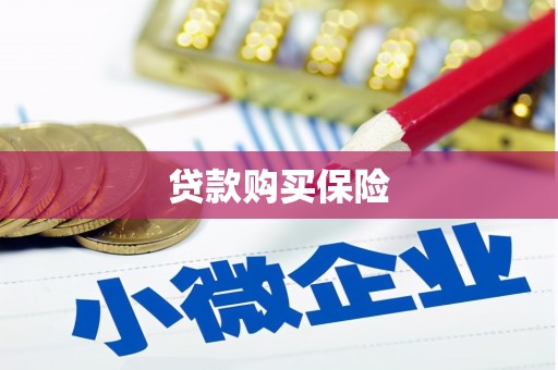 丰台贷款购买保险
