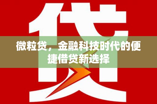 丰台微粒贷，金融科技时代的便捷借贷新选择