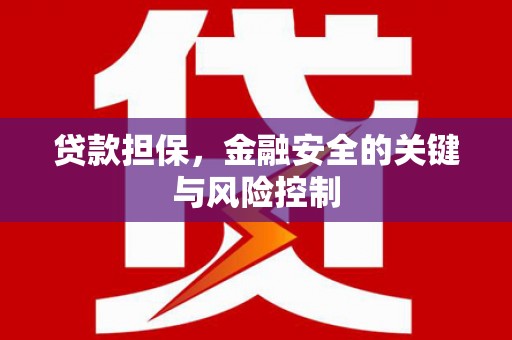 丰台贷款担保，金融安全的关键与风险控制