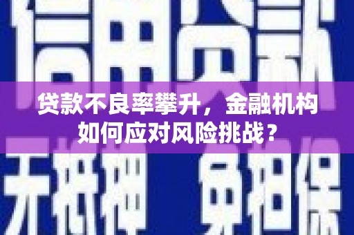 丰台贷款不良率攀升，金融机构如何应对风险挑战？