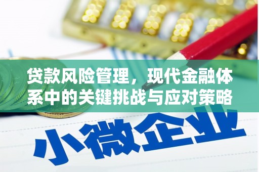 丰台贷款风险管理，现代金融体系中的关键挑战与应对策略