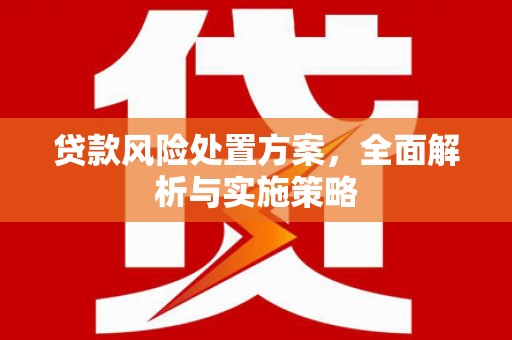 丰台贷款风险处置方案，全面解析与实施策略